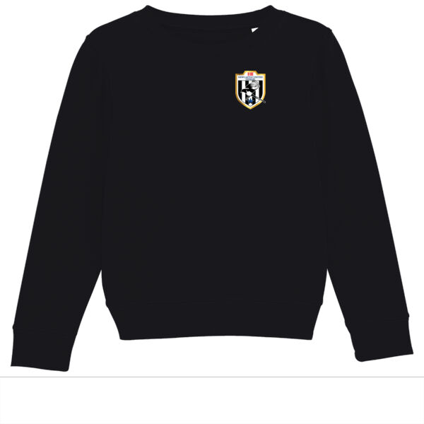 NUD Fan Sweatshirt m/lille logo (BØRN) Thumbnail